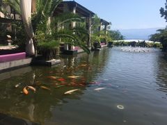 -西昌邛海湾柏樾酒店(原邛海湾柏栎度假酒店)