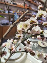 -今日陶艺(富力广场店)