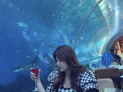 -海棠湾洲际-涛·海底餐厅·美人鱼·自助餐·海底隧道