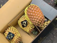 金钻凤梨-西郊国际农产品交易中心