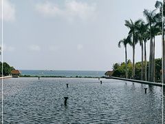 -三亚亚龙湾红树林度假酒店