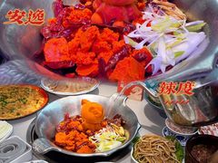 -渝大龙重庆火锅(温泉月亮湾店)