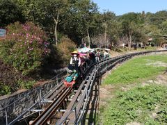 -红山村
