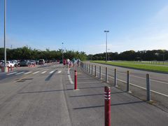 -奥兰多迪士尼动物王国乐园