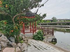 -游龙石文化科普馆