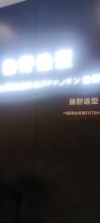 点击看大图 -藤野造型