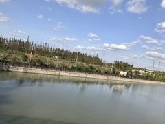 -上海长兴岛郊野公园