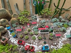 -正佳雨林生态植物园