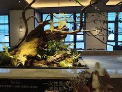 -臻品足道(佛祖岭店)