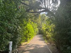 -华侨城湿地公园