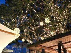 -云里小坐·小院里·团建·宴请·下午茶(三圣乡店)