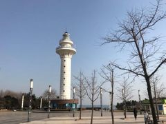 -渡海小渔村.老辈日照菜