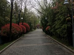 -芭东小镇温泉