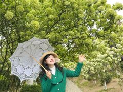 -铁山坪森林公园