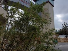 -中国盱眙国际龙虾节广场