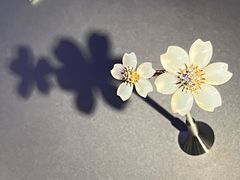 -上海当代艺术博物馆