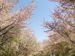 -汉拿山(印象城店)