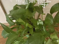 -宫七SPA·高端Massage(浦东大道店)