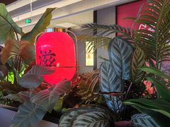 -辛香汇·现炒川菜(城北万象城店)