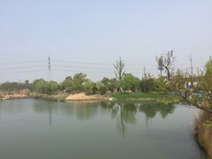 -梁鸿国家湿地公园