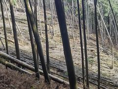 -比叡山