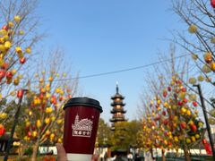 -龙华素斋(龙华路店)