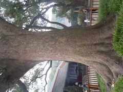 -兰剑驾校(汉阳校区)