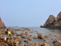 -燕窝岭