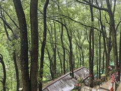 -巴倒烫陆派火锅山庄(南山总店)