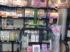 -糯米喵星人总部直营旗舰店·猫舍·幼猫出售