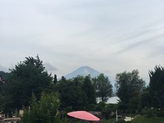 -河口湖八音盒之森美术馆