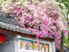 -深圳国际园林花卉博览园