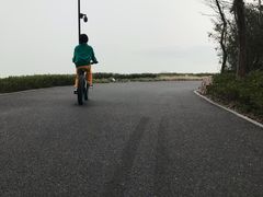 -东湖落雁景区