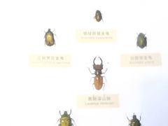 -中国湿地博物馆