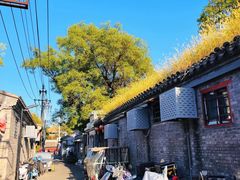-北京国子监胡同