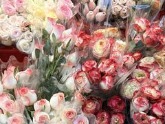 -循礼门鲜花花市(武汉循礼门店)