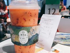 -野萃山·潮汕厚果汁(十亩地店)