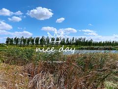 -春花秋色城市公园