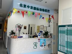 -中农国际动物医院24小时·猫科·骨科·急重症中心