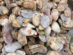 -永红源啤酒·烧烤·海鲜·大排档(青特城店)