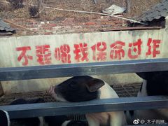 -北京鹿世界主题园