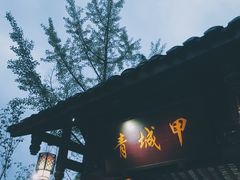 -青城甲(青城山店)