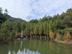 -广州市帽峰山景区