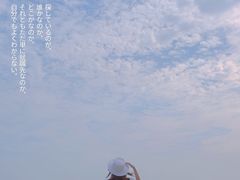 -碧桂园十里银滩