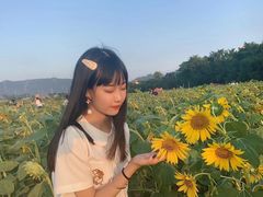 -光明小镇欢乐田园