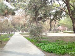 -东北大学(南湖校区)