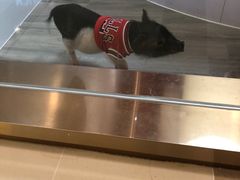 -猪盟咖啡店(玖洲道店)