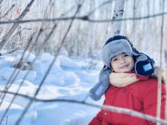 -乌兰布统景区-白桦林