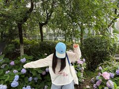 -南山植物园