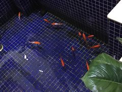 -钓鱼岛洗浴休闲会馆(卫星路店)